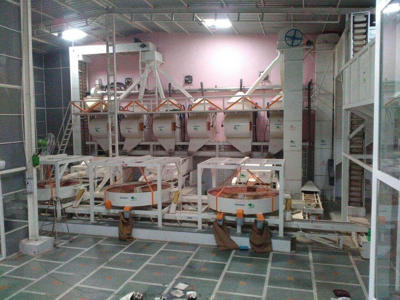 Industrial Peanut Processing Plant – Shelling Grading Sorting Swastik Technology