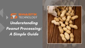 Understanding Peanut Processing: A Simple Guide 9 Understanding Peanut Processing: A Simple Guide