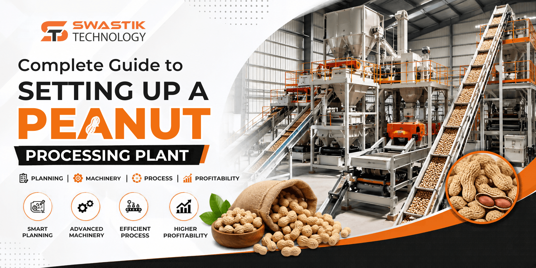 Complete Guide to Setting Up a Peanut Processing Plant