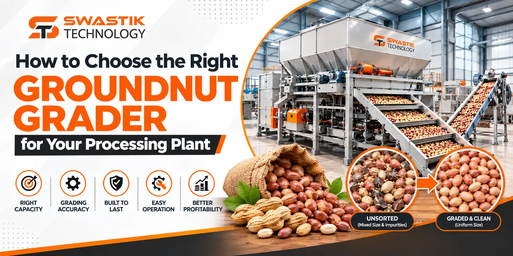 How to Choose the Right Groundnut Grader for Your Processing Plant 1 Groundnut grading machine sorting peanuts by size on a production line